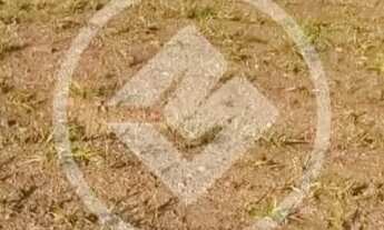 Imagem: Lote de 250 metros quadrados no condominio