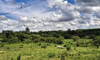Imagem 7: Sítio Chácara 20.000m2 Aceito Carro e Casa Artur Nogueira Rico em Água Fundos Poquinha