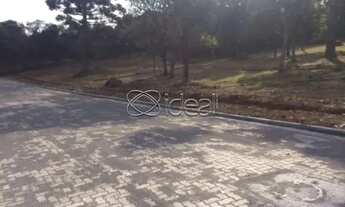 Imagem 4: Terreno 10.000,68m² no Bairro São Ciro/Século XX em Caxias do Sul