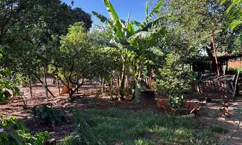 Imagem 3: Vendo Chácara com venda por R$400.000