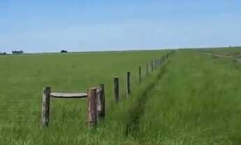Imagem 5: Fazenda Corumbá 2002 hectares
