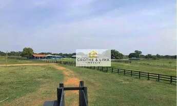Imagem 2: Excelente fazenda com 9.000 hectares à venda no Pantanal-MT
