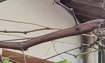 Imagem 6: Casa em Condomínio Fechado