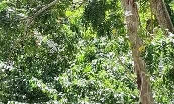 Imagem 4: Casa em Caruaru + terreno