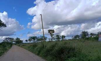 Imagem 6: Terreno para sítio - 6,5 tarefas, próx a Izabel!