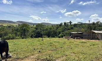 Imagem 3: Vendo Lindo Sítio em Girassol