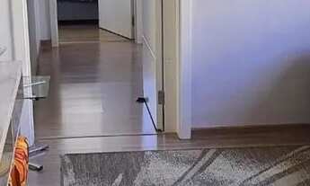 Imagem 3: Apartamento com 03 dormitórios (01 suíte), 01 vaga no bairro Morro Santana