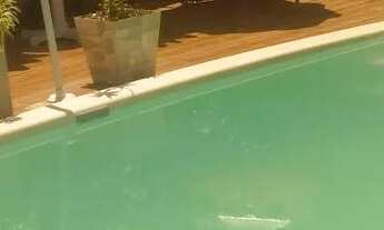 Imagem 2: Vendo motivo trabalho ZAP *18