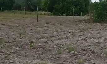 Imagem 2: Terreno no povoado coité