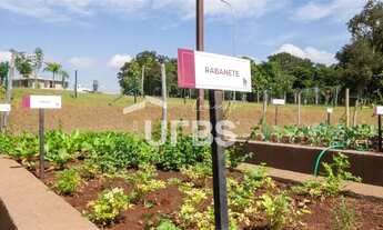 Imagem 11: Lote no Jardins França