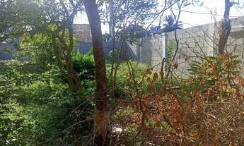 Imagem 4: TERRENO À VENDA JOÃO GOULART