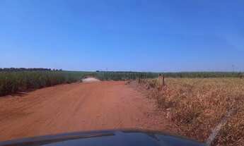 Imagem 5: Fazenda de 150 alqueires (360 hectares), com 100 alqueres plantado de cana em Ub
