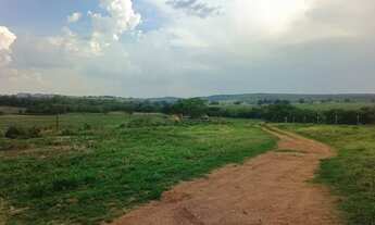 Imagem: Vendo 125 alqueires mineiro em Honorópolis(250