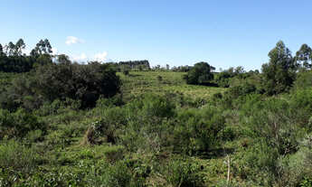 Imagem 4: 55 Hectares a 6 km da BR 116