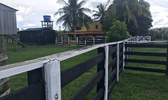 Imagem 3: Fazenda em Brasil Novo 310 alqueires