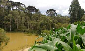 Imagem 3: Chácara com Residência a 2 km do Centro de Campo Alegre/SC