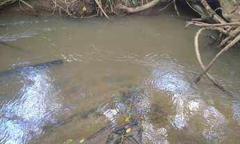 Imagem 5: Chácara com rio em Bela vista são 20 mil metros