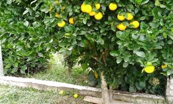 Imagem 2: Rural chacara com 3 quartos - Bairro Centro em São Mateus do Sul