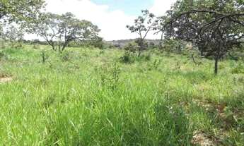 Imagem 4: Lindas fazendinhas de 20 mil metros 100% plana, Jaboticatubas(Temos varias opções)