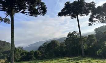 Imagem: Vendo sítio