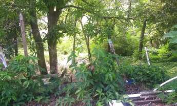 Imagem 5: Casa na Avenida Guaxuma