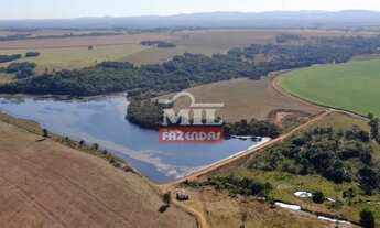 Imagem: Propriedade com irrigação no Vale do Araguaia-GO