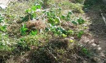 Imagem 5: Bairro Praia.125mil