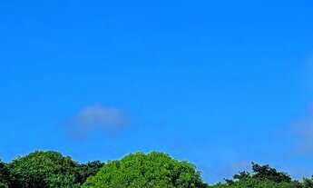 Imagem 5: Terreno e lote em Sucatinga e Sitio Santo Antonio menor preço