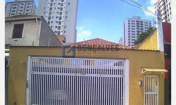 Imagem: SAO CAETANO DO SUL - Residential / Home