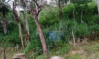 Imagem 4: Terreno 65.000m², as margens do Rio das Velhas, Jaboticatubas