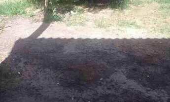 Imagem 6: Casa Casa com 2 dormitórios