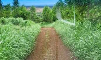 Imagem 4: LINDA FAZENDINHA DE 10 ALQUEIRES A 58KM MONTES CLAROS