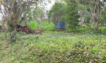 Imagem 4: Chácara com 2 dormitórios à venda, 6000 m² por R$ 300.000,00 - São João - São José dos Cam