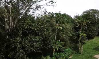 Imagem 5: Terreno para Venda - 0m², 0 dormitórios, Vila Nova