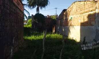 Imagem: Vendo terreno no arianopoles