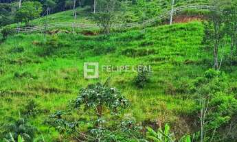 Imagem 3: Chácara em Vargem Grande - Águas Mornas