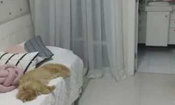 Imagem 5: Belíssimo apartamento de 4 quartos - cód 23585 F