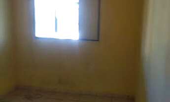 Imagem 2: Kit Net em cosmos