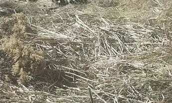 Imagem 2: TERRENO EM CONDOMINIO