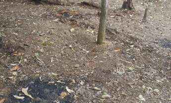 Imagem 4: Terreno Chácara com venda por R$7.500