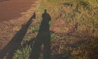 Imagem 3: Chácara a venda