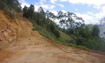 Imagem 6: Sitio com 3.1 hectares