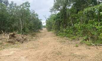 Imagem 6: Chácara de 21 mil mt em Goiás velho no rio vermelho!