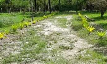 Imagem 3: Chácara/Sítio a Venda