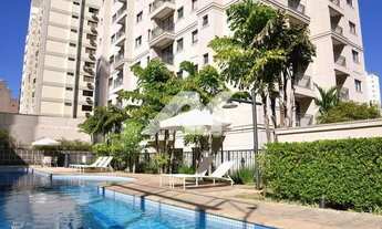 Imagem 1: Apartamento - Cambuí - Campinas