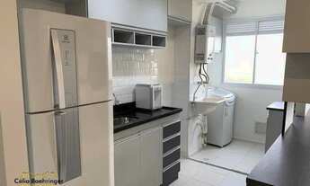 Imagem 7: SãO PAULO - Padrão - Cambuci