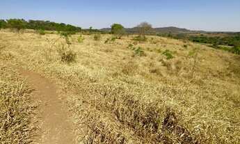 Imagem 3: Fazenda de 20 alqueires em Trindade Go