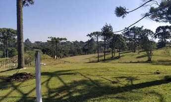 Imagem 5: Paraíso do sul Chácara com venda por R$1.550.000