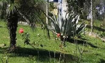 Imagem 3: Chácara em Área Rural - Área Rural de São João da Boa Vista - São João da Boa Vista/SP