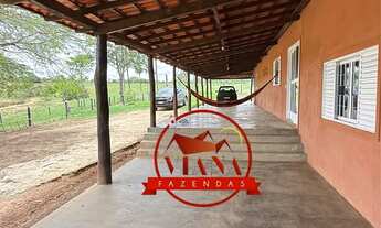 Imagem 4: FAZENDA DE 107 HECTARES (22 ALQ) - FORMOSA GO